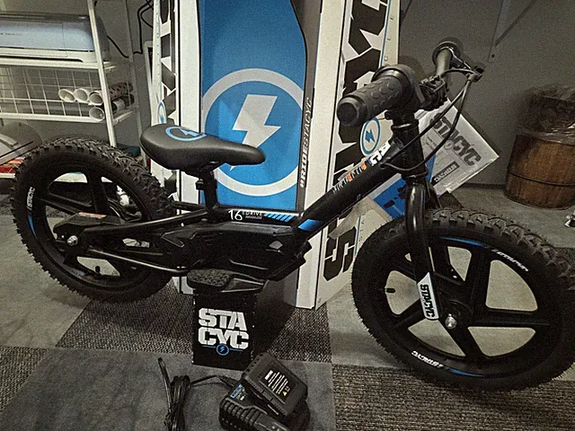 Stacyc 16eDRIVE Brushless Balance E Bike