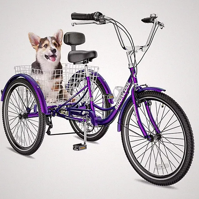 Tricycle 24 In., 3 Wheel 7 Speed Bikes Cruise Trike with Shopping Basket for Adu